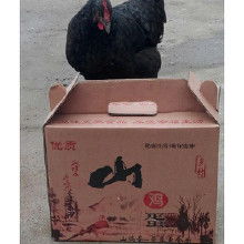 鹌鹑禽蛋价格 鹌鹑禽蛋批发 鹌鹑禽蛋厂家 