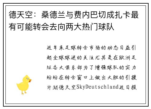 德天空：桑德兰与费内巴切成扎卡最有可能转会去向两大热门球队
