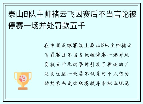 泰山B队主帅褚云飞因赛后不当言论被停赛一场并处罚款五千